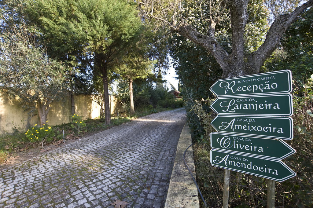 Quinta Da Cabrita Villa Santarém Exteriör bild