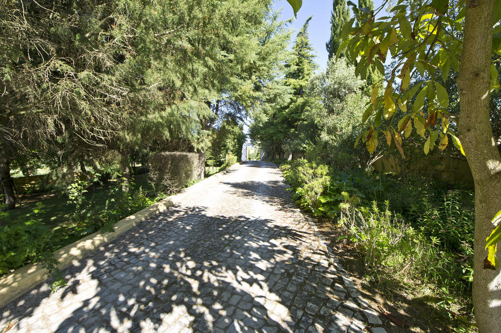 Quinta Da Cabrita Villa Santarém Exteriör bild