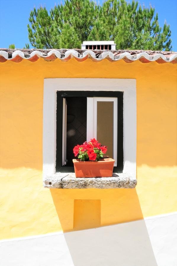 Quinta Da Cabrita Villa Santarém Exteriör bild
